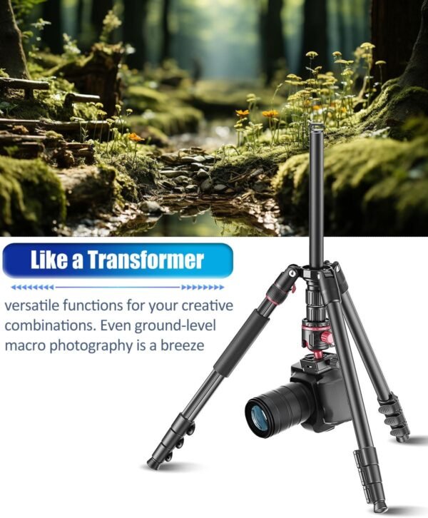 CAMBOFOTO 173cm Professional Camera Photography Tripod, Portable Tripod 173cm/Monopod 180cm, 360-degree Ball Head, Aluminum Tripod, with iPad Clip and Carry Bag